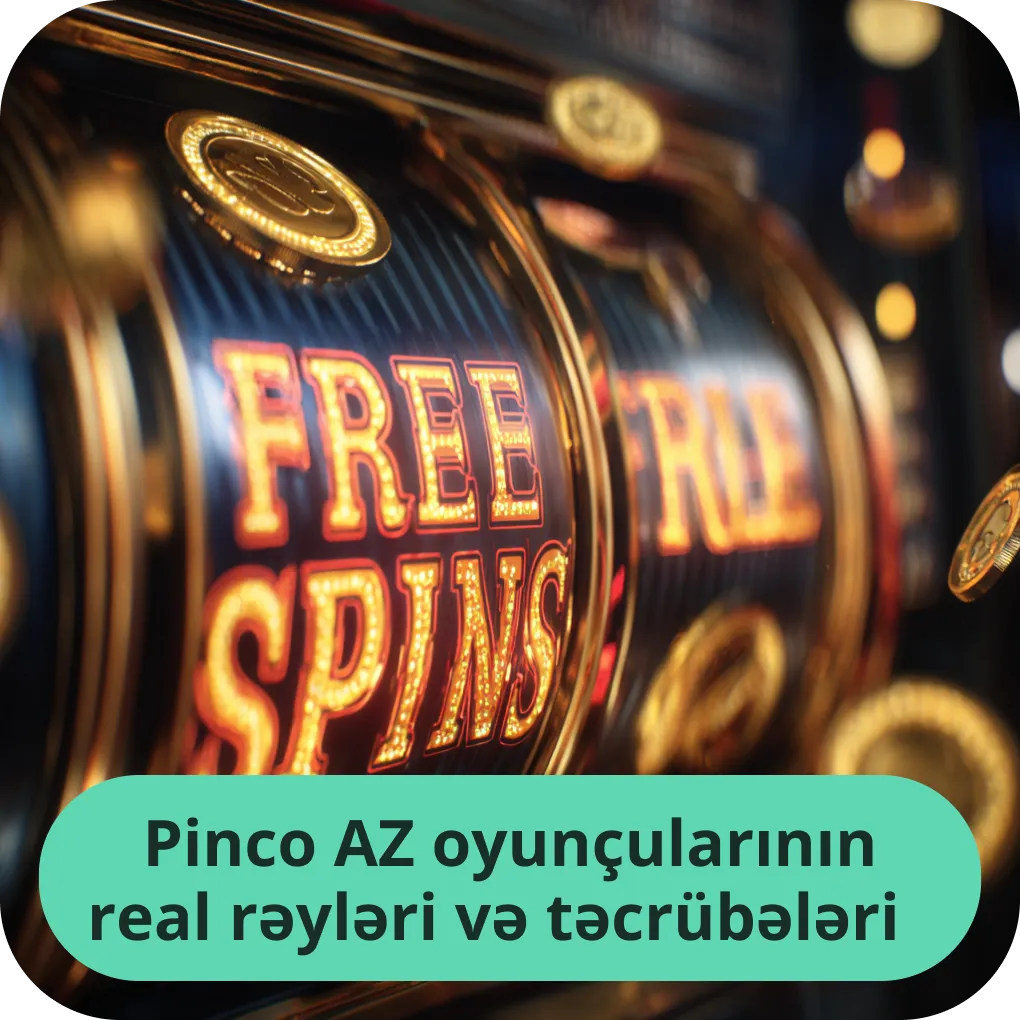 Pinco AZ oyunçularının real rəyləri və təcrübələri