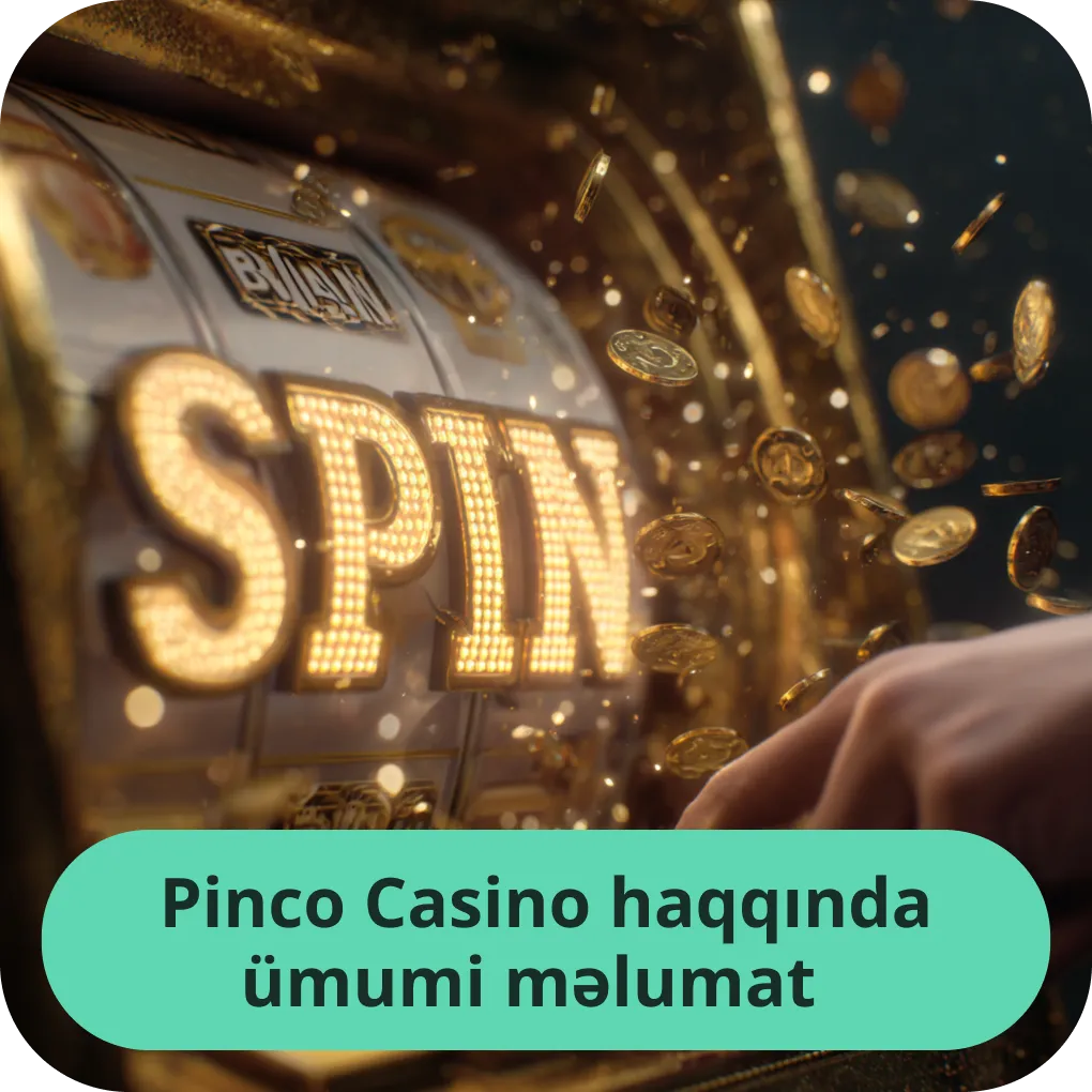 Pinco Casino haqqında ümumi məlumat